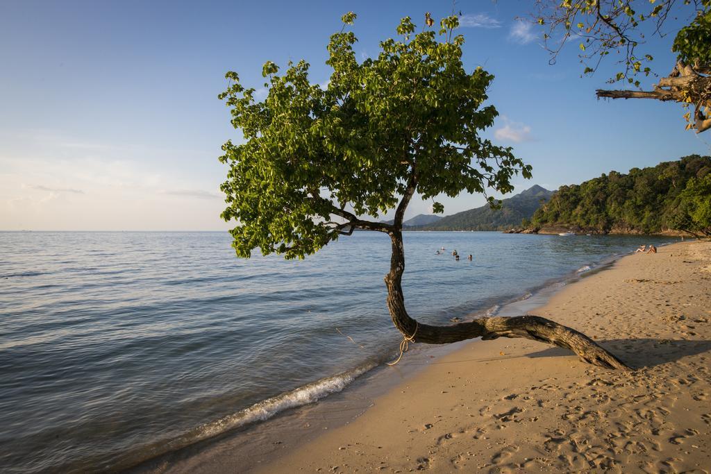 The White Knot Koh Chang Phòng bức ảnh